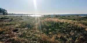 Beitragsbild des Blogbeitrags Abdrücke im Sand