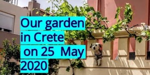 Beitragsbild des Blogbeitrags unser Garten im Mai