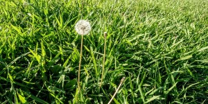 Beitragsbild des Blogbeitrags der Leuchtturm von Chania 