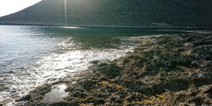 Beitragsbild des Blogbeitrags 8 Uhr Früh am Morgen in Stavros auf Kreta