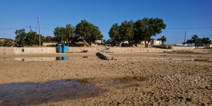 Beitragsbild des Blogbeitrags Am Morgen am Strand