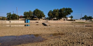 Beitragsbild des Blogbeitrags Am Morgen am Strand 