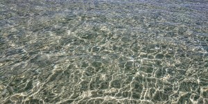 Beitragsbild des Blogbeitrags Stavros am 5 Juni 2020