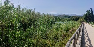 Beitragsbild des Blogbeitrags Spazieren am See Agia auf Kreta