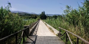 Beitragsbild des Blogbeitrags Die grüne Oase auf Kreta der See in Agia