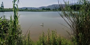 Beitragsbild des Blogbeitrags Ruhe auf dem See Agia