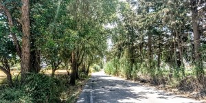 Beitragsbild des Blogbeitrags grünes Agia in Chania