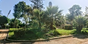 Beitragsbild des Blogbeitrags Im Stadtpark von Chania 