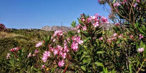 Beitragsbild des Blogbeitrags Tersanas Strand