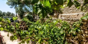 Beitragsbild des Blogbeitrags Gartenbilder