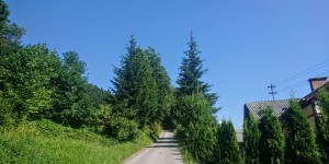 Beitragsbild des Blogbeitrags Impressionen aus Mürzzuschlag in der grünen Steiermark am 7 August 