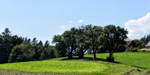 Beitragsbild des Blogbeitrags Impressionen aus der Steiermark