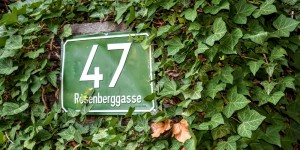 Beitragsbild des Blogbeitrags Rosenberg in Graz 9 August 2020