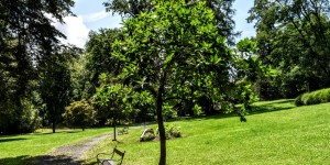 Beitragsbild des Blogbeitrags das grüne Paradies Bad Gleichenberg