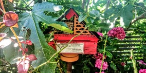 Beitragsbild des Blogbeitrags das paradiesische Rosenbergl,Straden