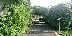 Beitragsbild des Blogbeitrags Zum Erholen Straden,Rosenbergl