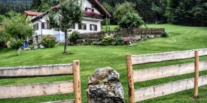 Beitragsbild des Blogbeitrags Pferdeglück am Hohenberg 16 August 2020