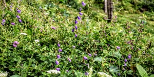 Beitragsbild des Blogbeitrags Wolkenspiele am Hohenberg 16 August 2020