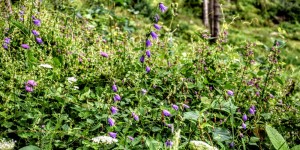 Beitragsbild des Blogbeitrags Wolkenspiele am Hohenberg 16 August 2020 