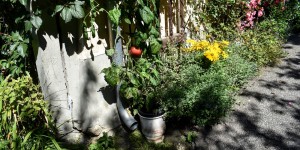 Beitragsbild des Blogbeitrags Blumenparadies in Deutschfeistritz 19 August 2020