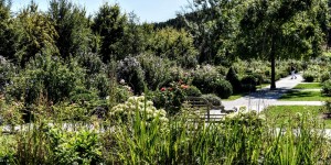 Beitragsbild des Blogbeitrags das paradiesische Herberstein 20 August 2020