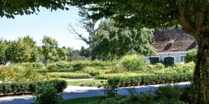 Beitragsbild des Blogbeitrags Gartenliebe in Herberstein 20 August 2020