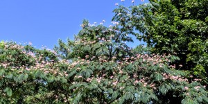 Beitragsbild des Blogbeitrags Tierpark Herberstein 20 August 2020