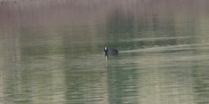 Beitragsbild des Blogbeitrags Kournas Kreta