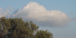 Beitragsbild des Blogbeitrags Frühlingsspaziergang Kreta
