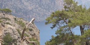 Beitragsbild des Blogbeitrags Schlucht von Lissos Kreta