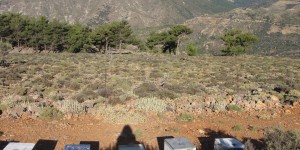 Beitragsbild des Blogbeitrags Ein neuer Tag beginnt in Koustogerako Kreta 