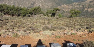 Beitragsbild des Blogbeitrags Ein neuer Tag beginnt in Koustogerako Kreta