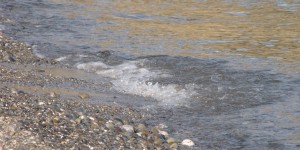 Beitragsbild des Blogbeitrags Sougia Kreta