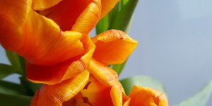Beitragsbild des Blogbeitrags Eine neue Zeit bricht jetzt an …