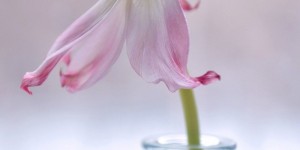 Beitragsbild des Blogbeitrags Bedürfnisspeicher füllen