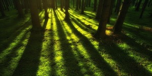 Beitragsbild des Blogbeitrags GedankenPhilosophie