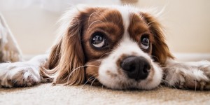 Beitragsbild des Blogbeitrags „Mama, wie lang ist es noch….?“