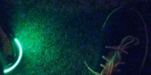 Beitragsbild des Blogbeitrags Bei mir geht ein Licht auf.