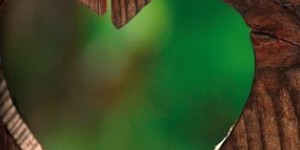 Beitragsbild des Blogbeitrags Steirerblut