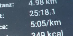 Beitragsbild des Blogbeitrags Es gibt ihn, den Donaulauf Korneuburg