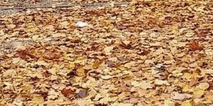 Beitragsbild des Blogbeitrags Das Warten hat kein Ende.