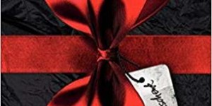 Beitragsbild des Blogbeitrags Das Geschenk 