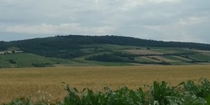 Beitragsbild des Blogbeitrags Der Waschberg hat gerufen und #martinläuft