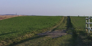 Beitragsbild des Blogbeitrags Frühlingswetter wo bleibst du?