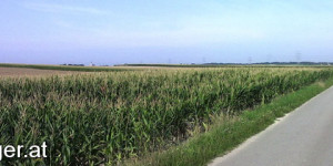 Beitragsbild des Blogbeitrags Schloss Neuaigen