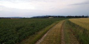 Beitragsbild des Blogbeitrags #martinläuft: Photorun zum Grummethof 