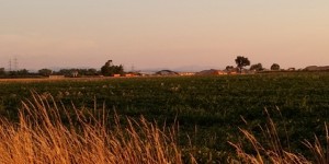 Beitragsbild des Blogbeitrags #martinläuft: Photorun der 2. 