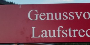Beitragsbild des Blogbeitrags #martinläuft in Saalbach Hinterglem – #flatisboring