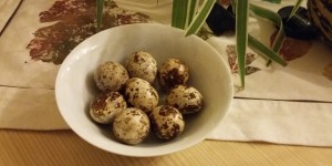 Beitragsbild des Blogbeitrags Eier mit weniger Cholesterin