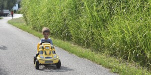 Beitragsbild des Blogbeitrags Unser neues Go-Kart von Hauck Toys - Bumble Bee zieht ein 